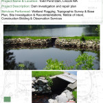 Dam Inspection and Repairs 99198